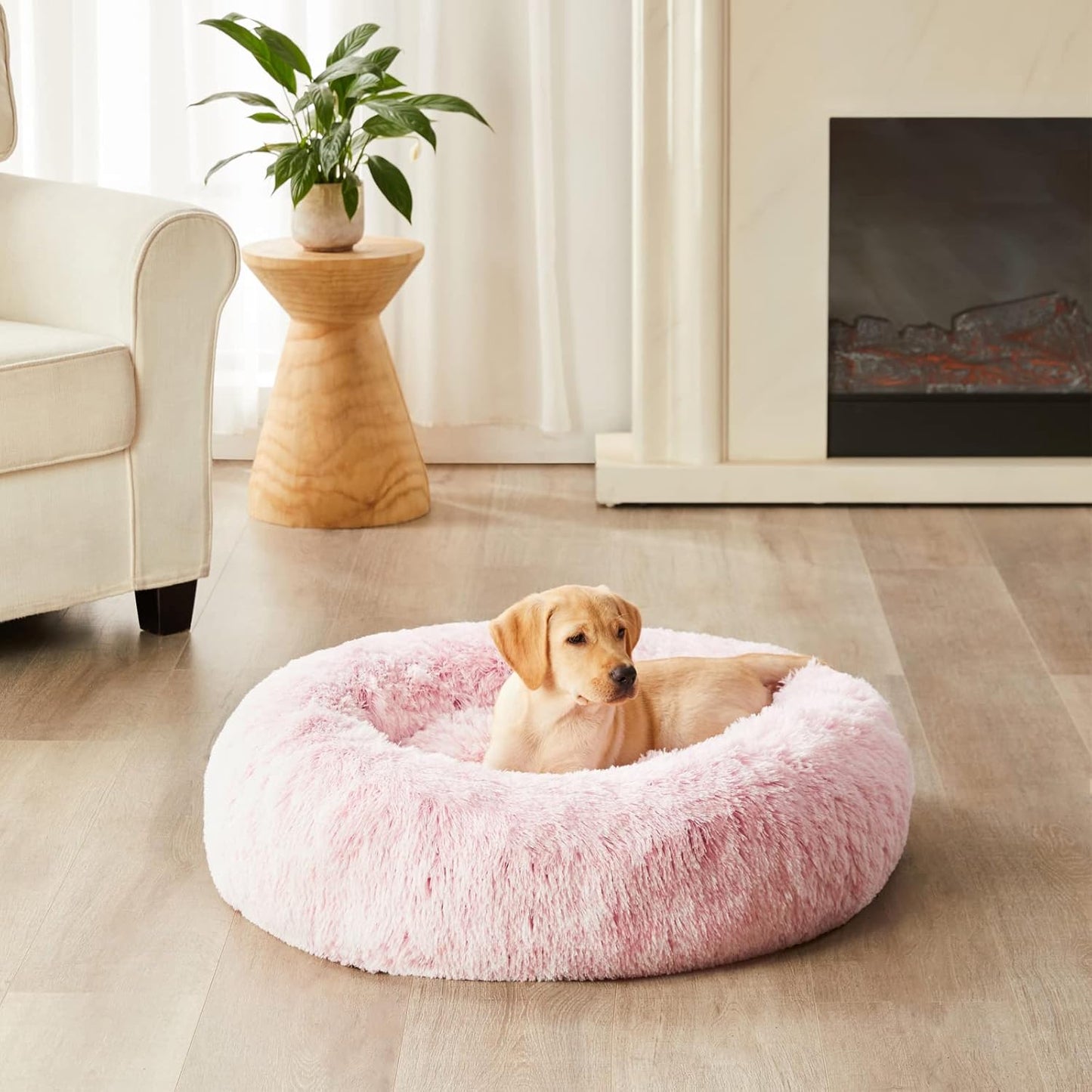 Comfort Donut Bed