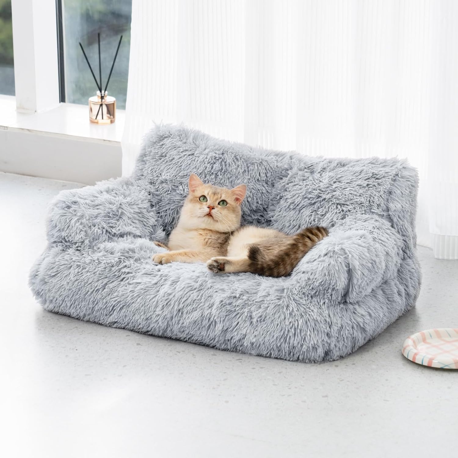 Comfort Paws Couch