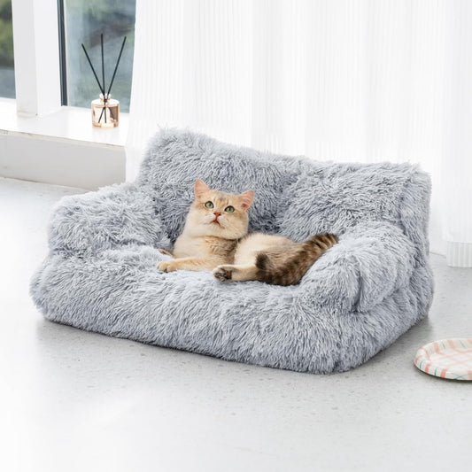 Comfort Paws Couch